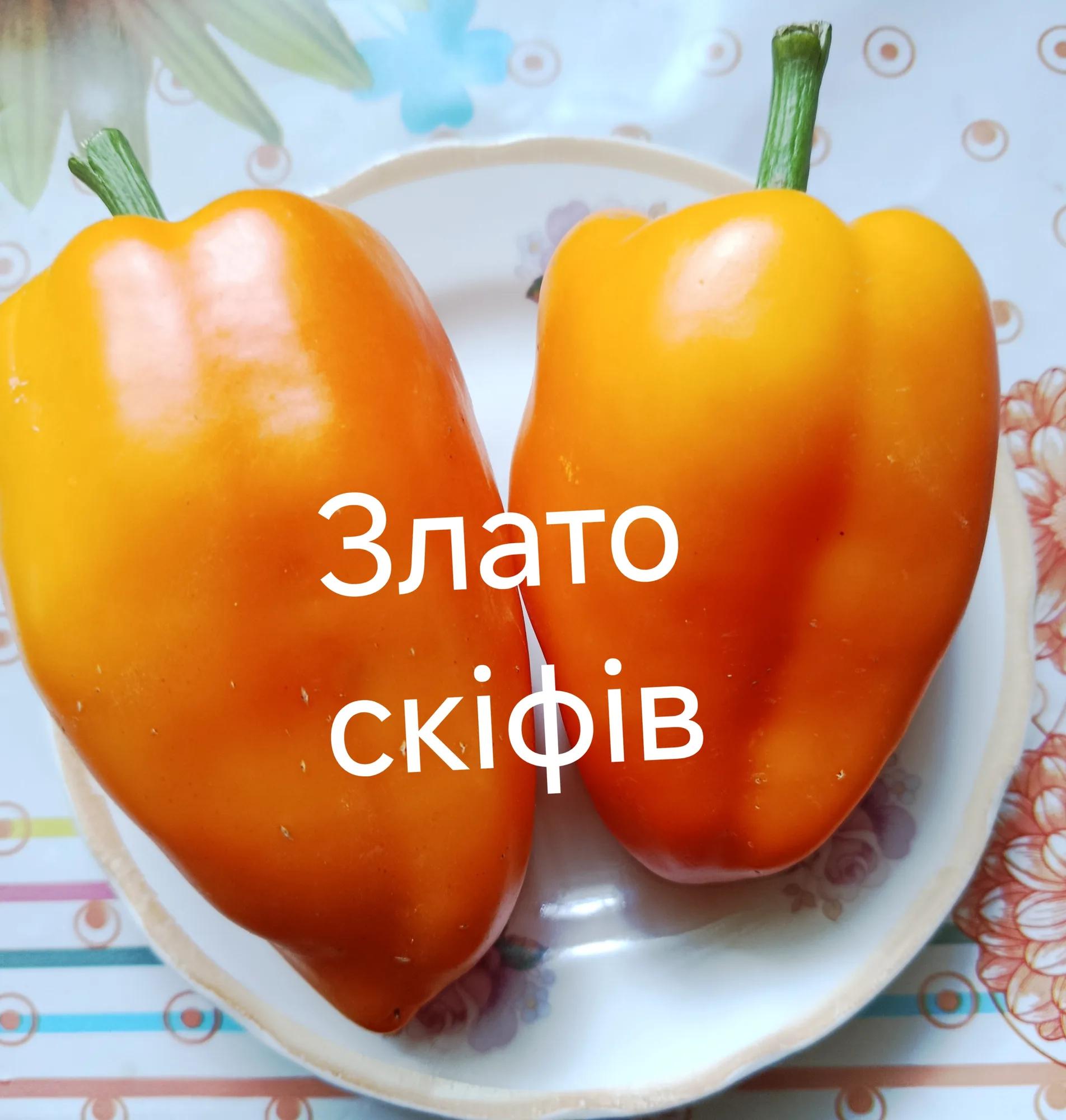 Злато скіфів