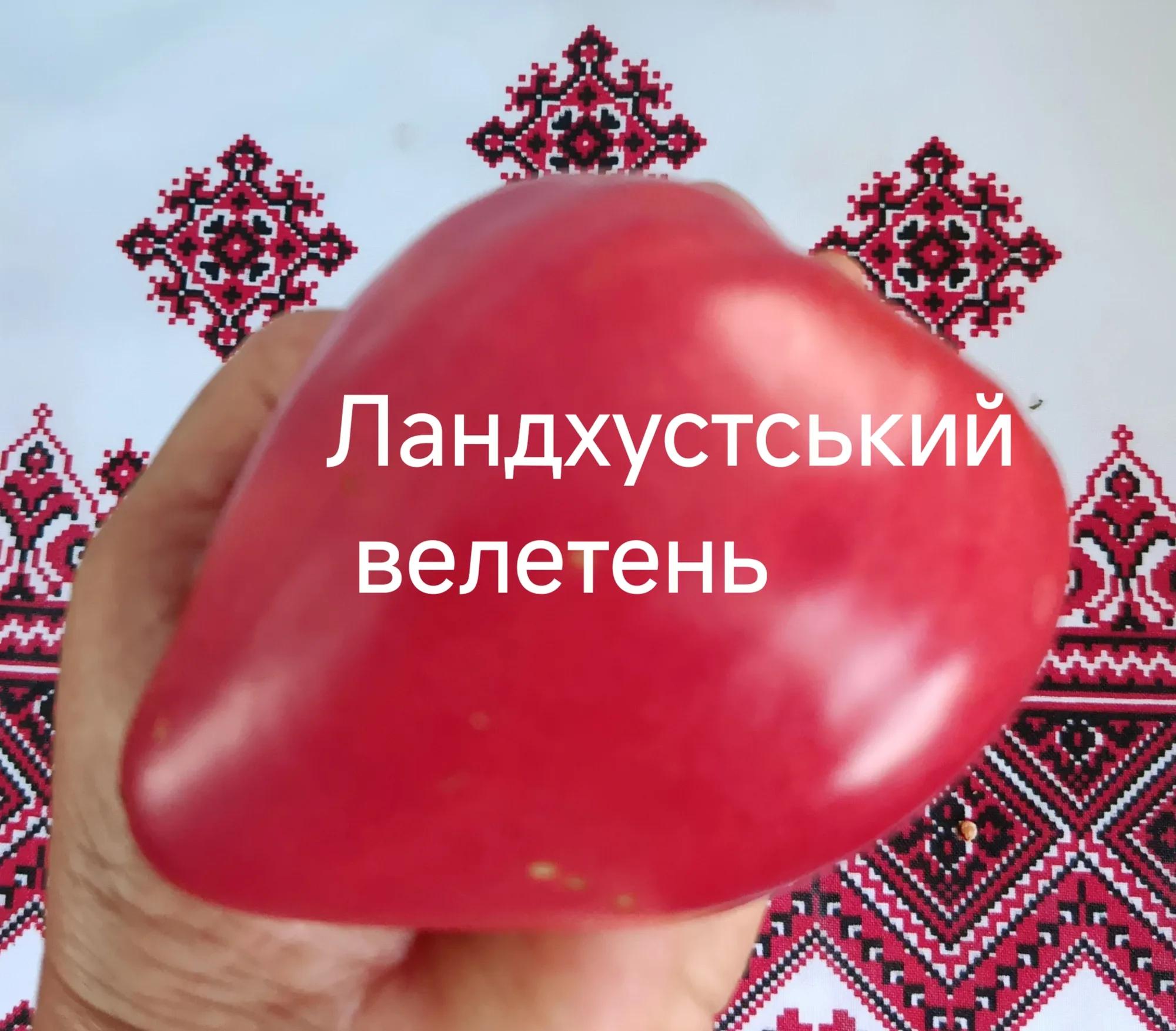 Ландхустський велетень