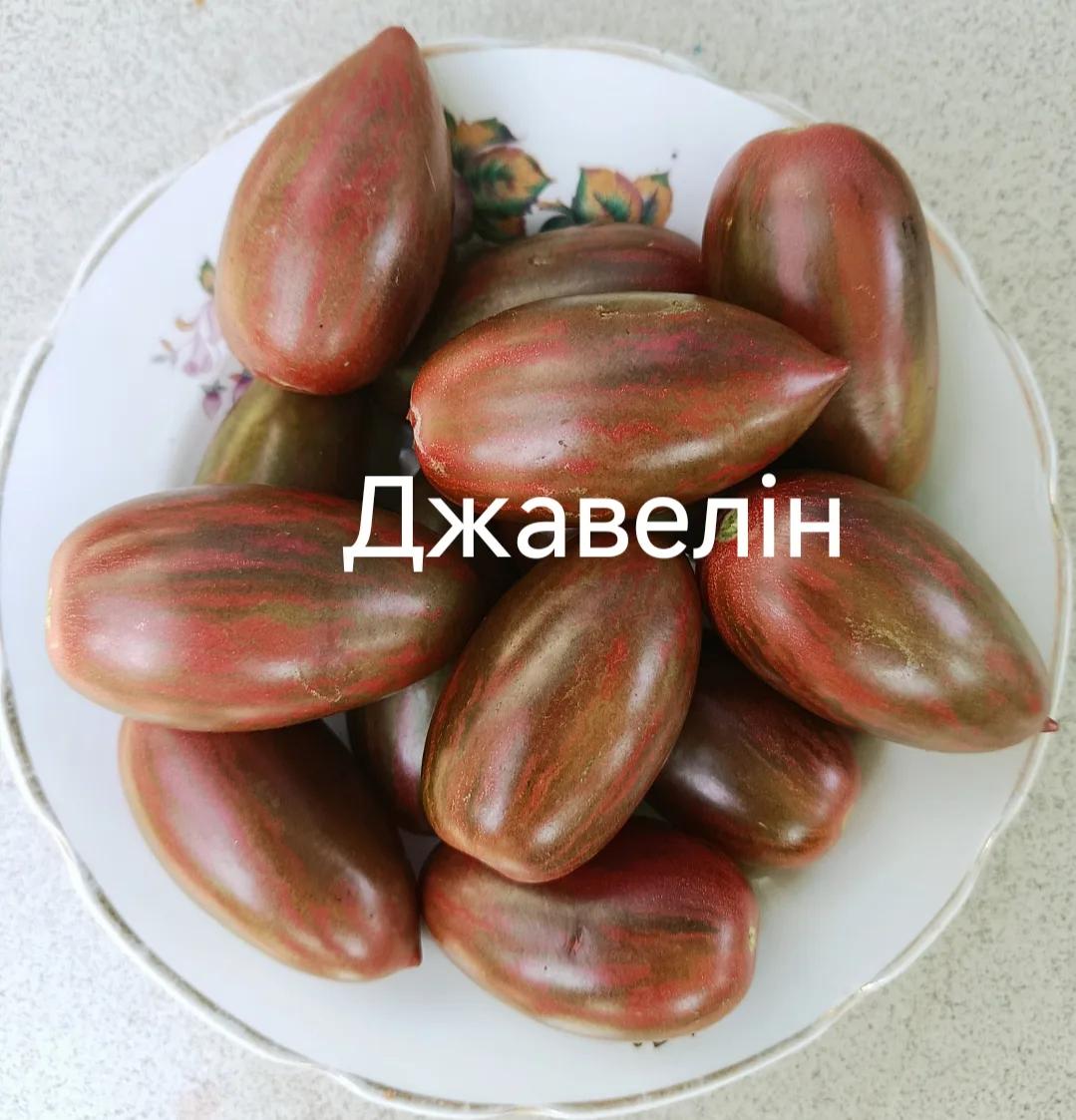 Джавелін