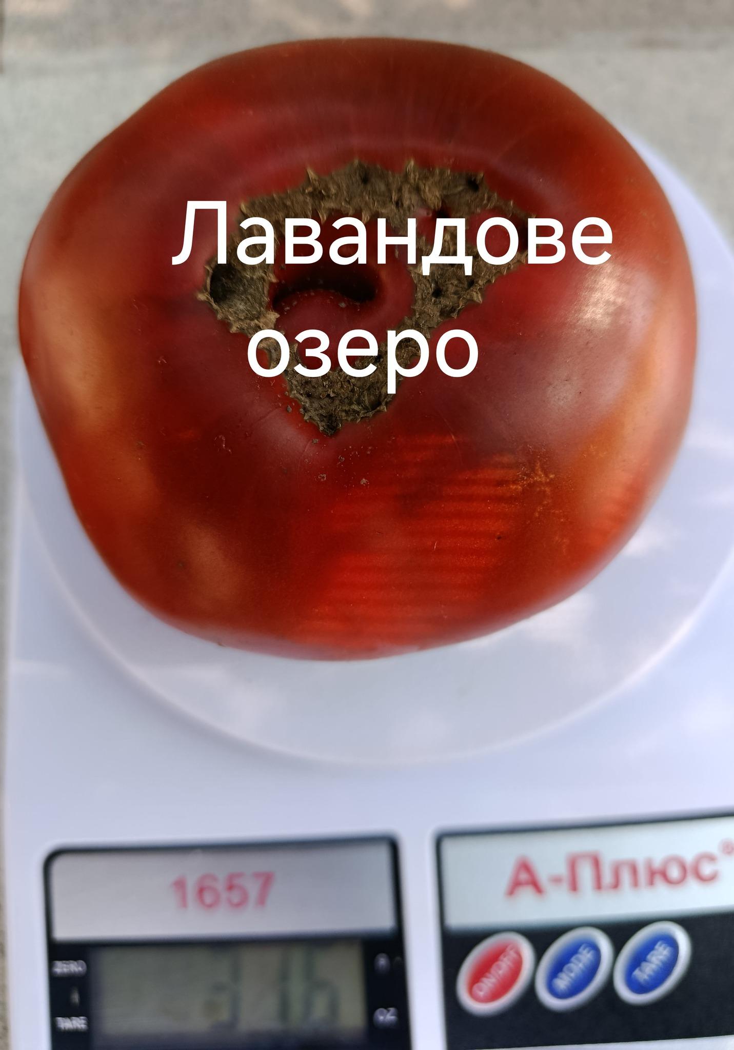 Лавандове озеро